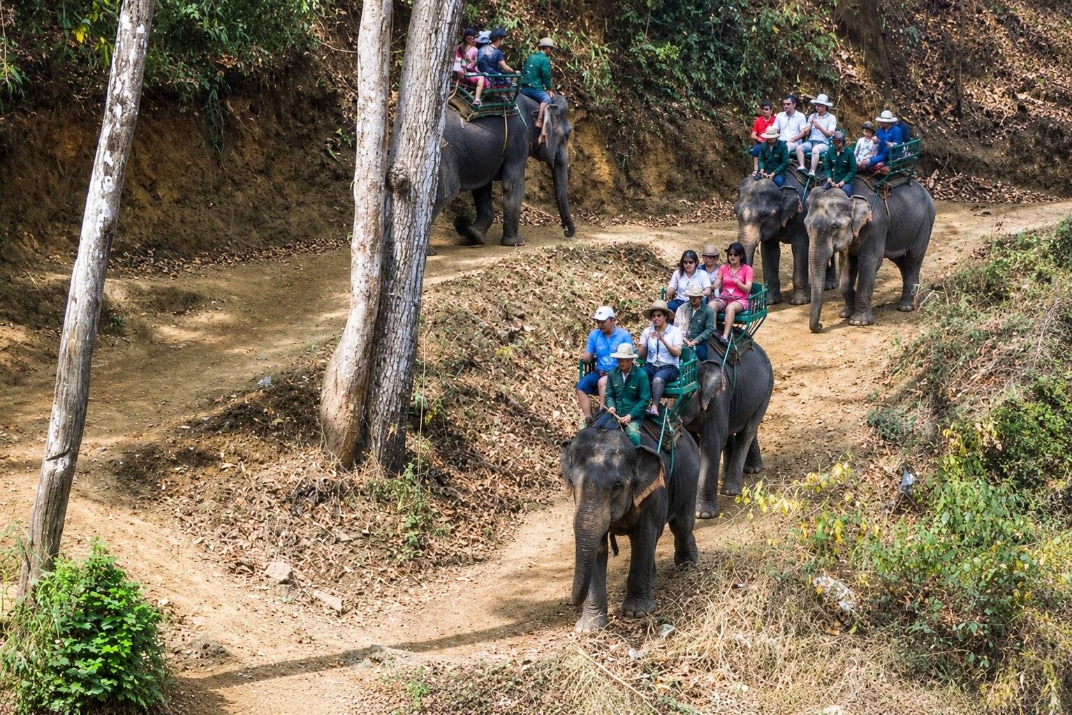Alaungdaw Kathapa National Park