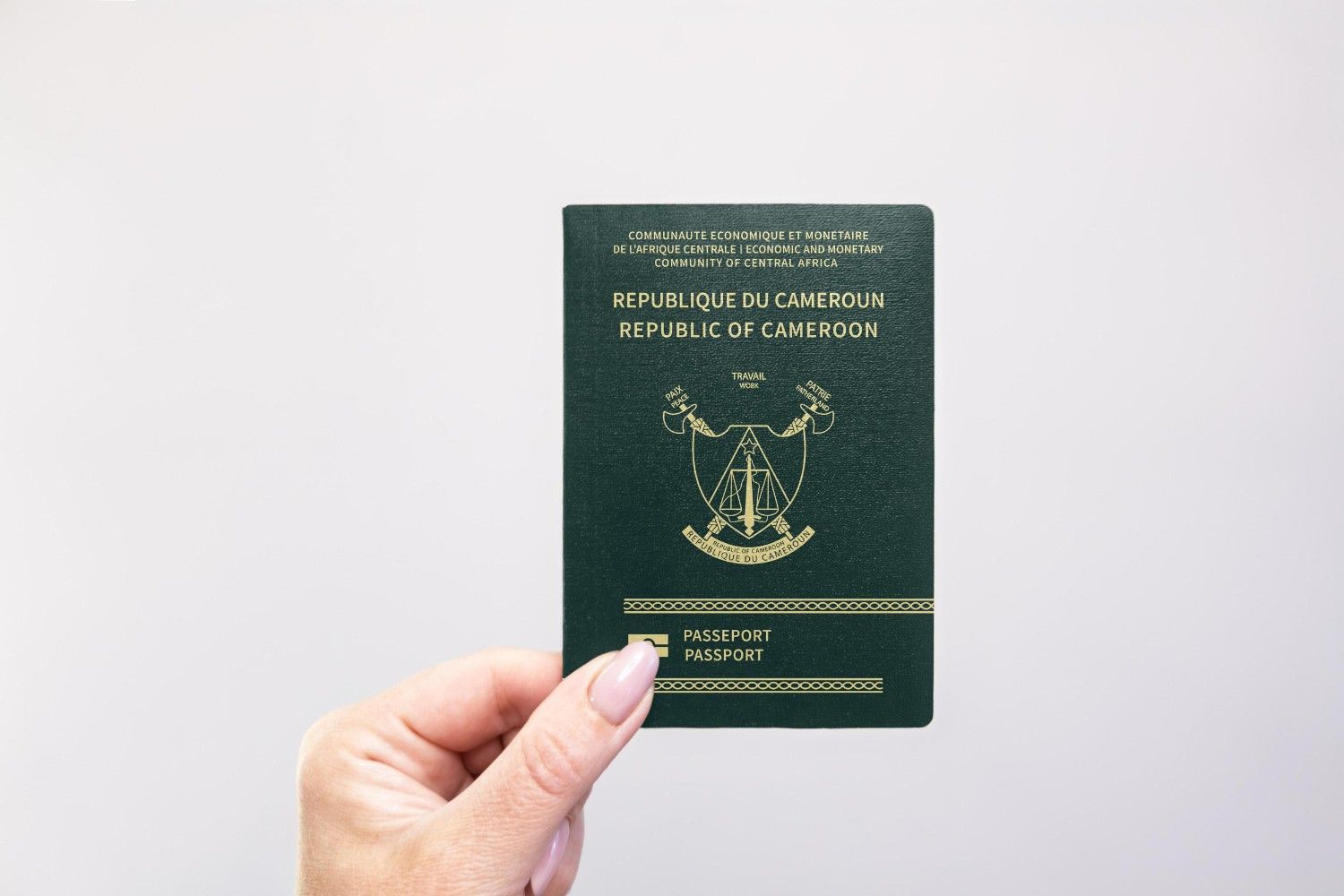 Cameroon Passport Held In Hand