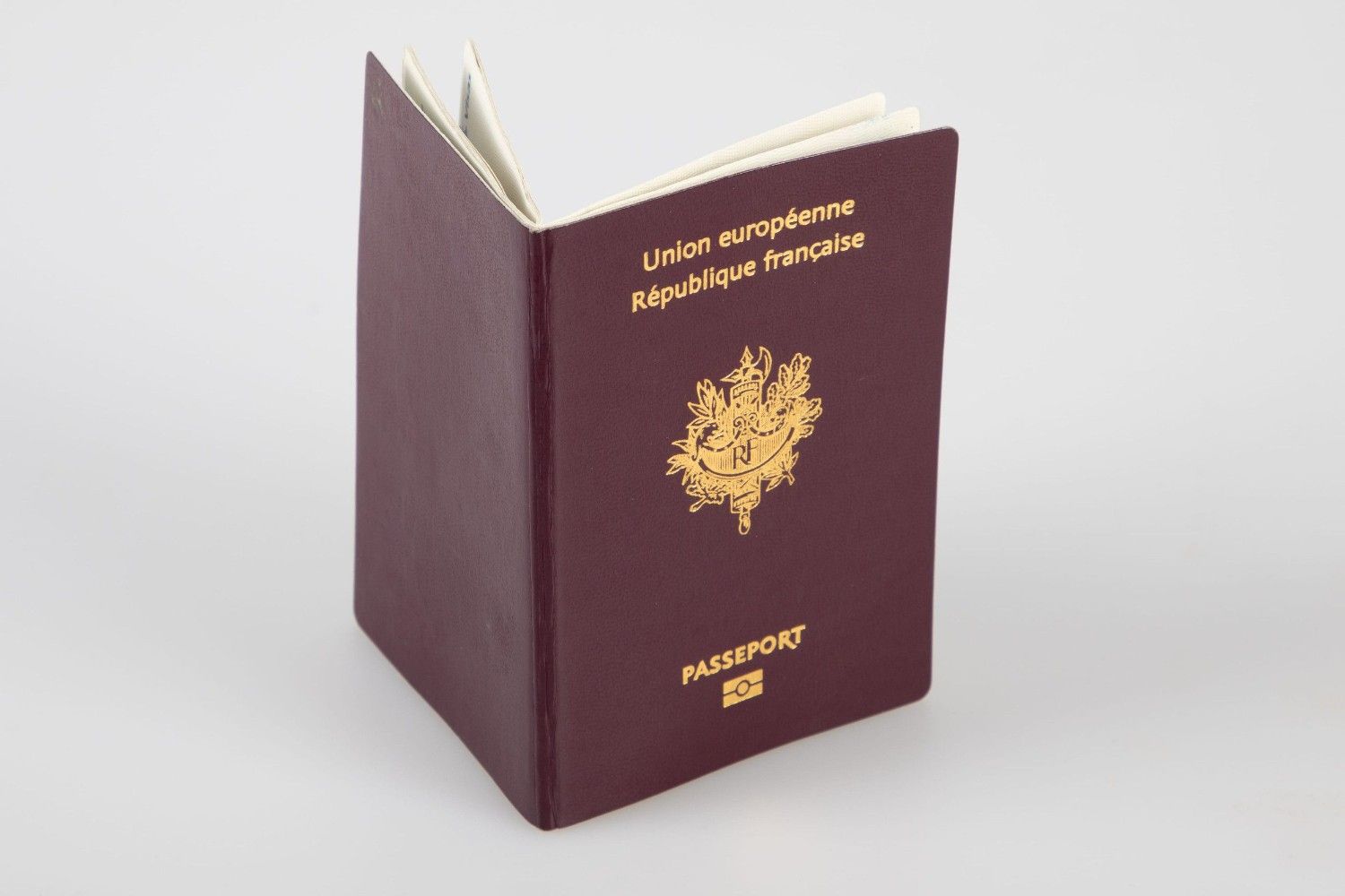 French Passport