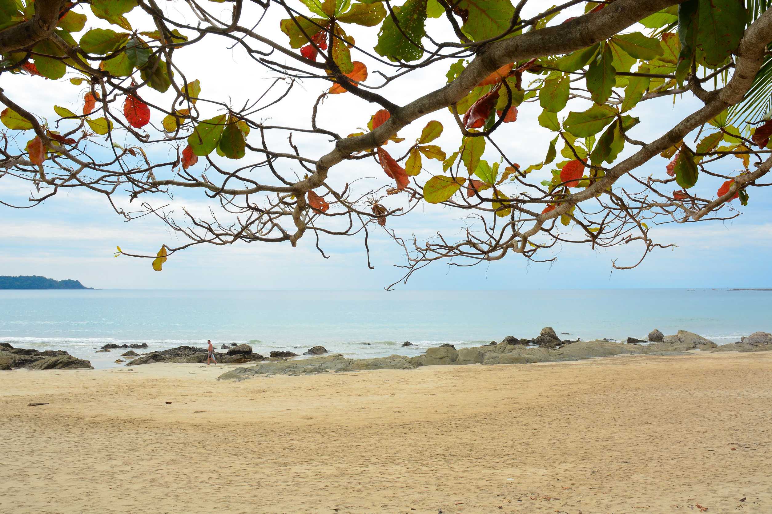 Ngapali Beach On The Myanmar West Coast