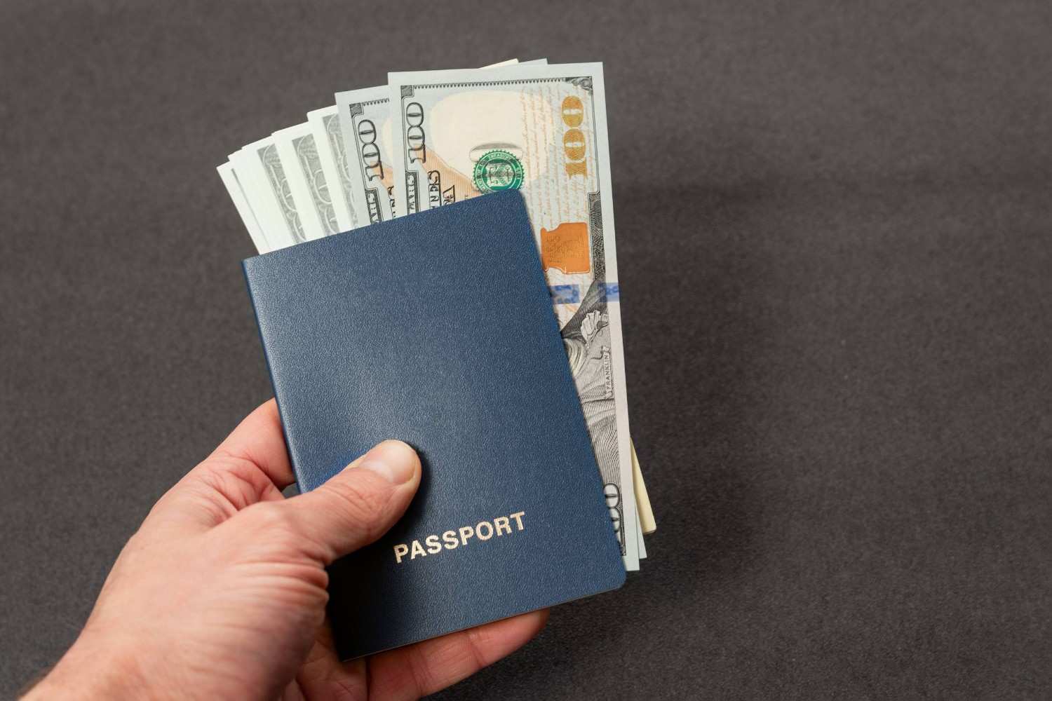 Passport with Blank Cover and Cash Dollars