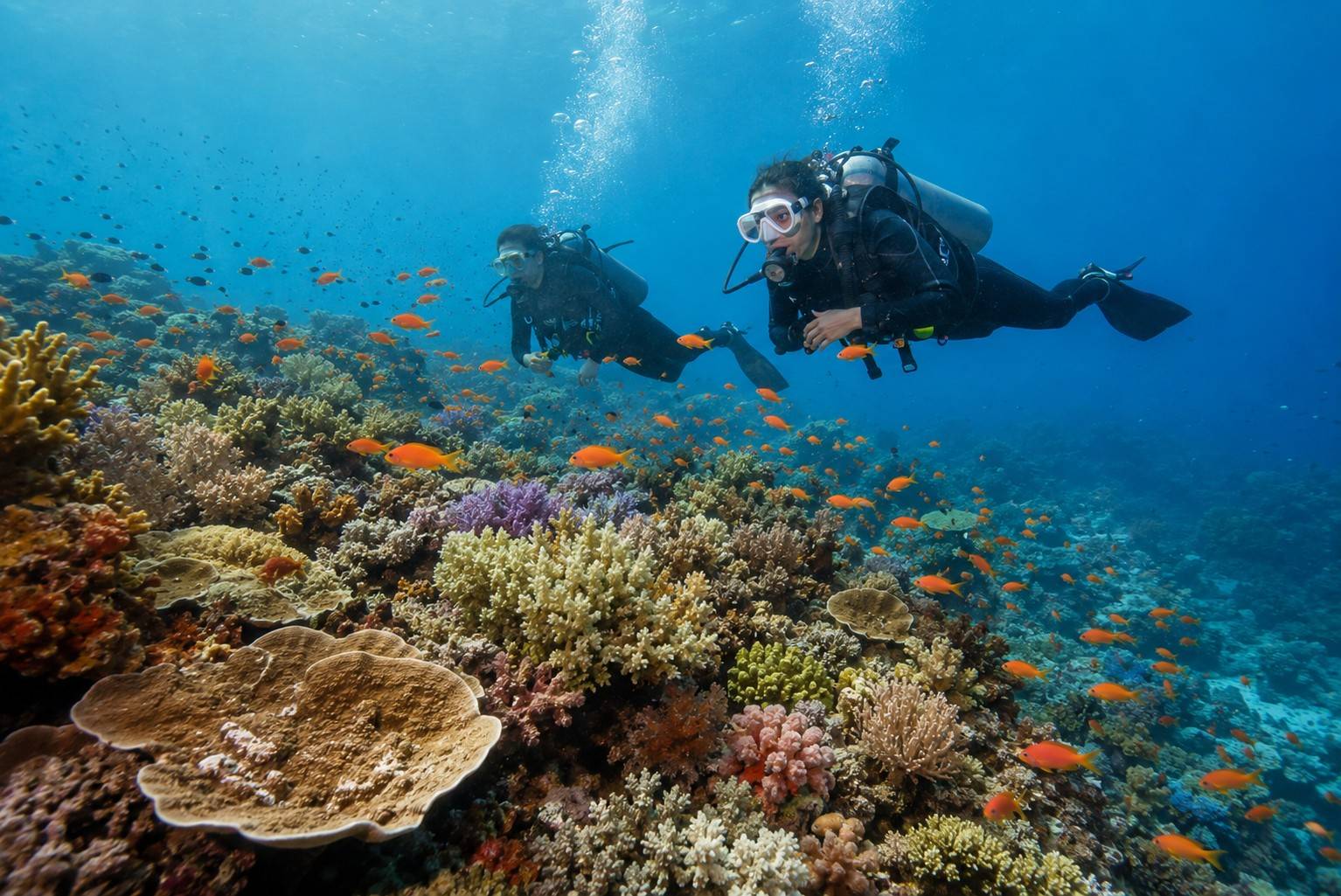 Scuba Diving In The Myeik Archipelago