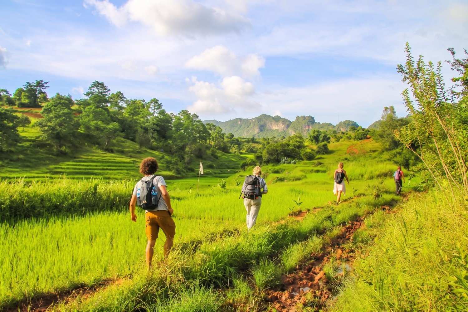 Tourists Walking Between Fields In Myanmar