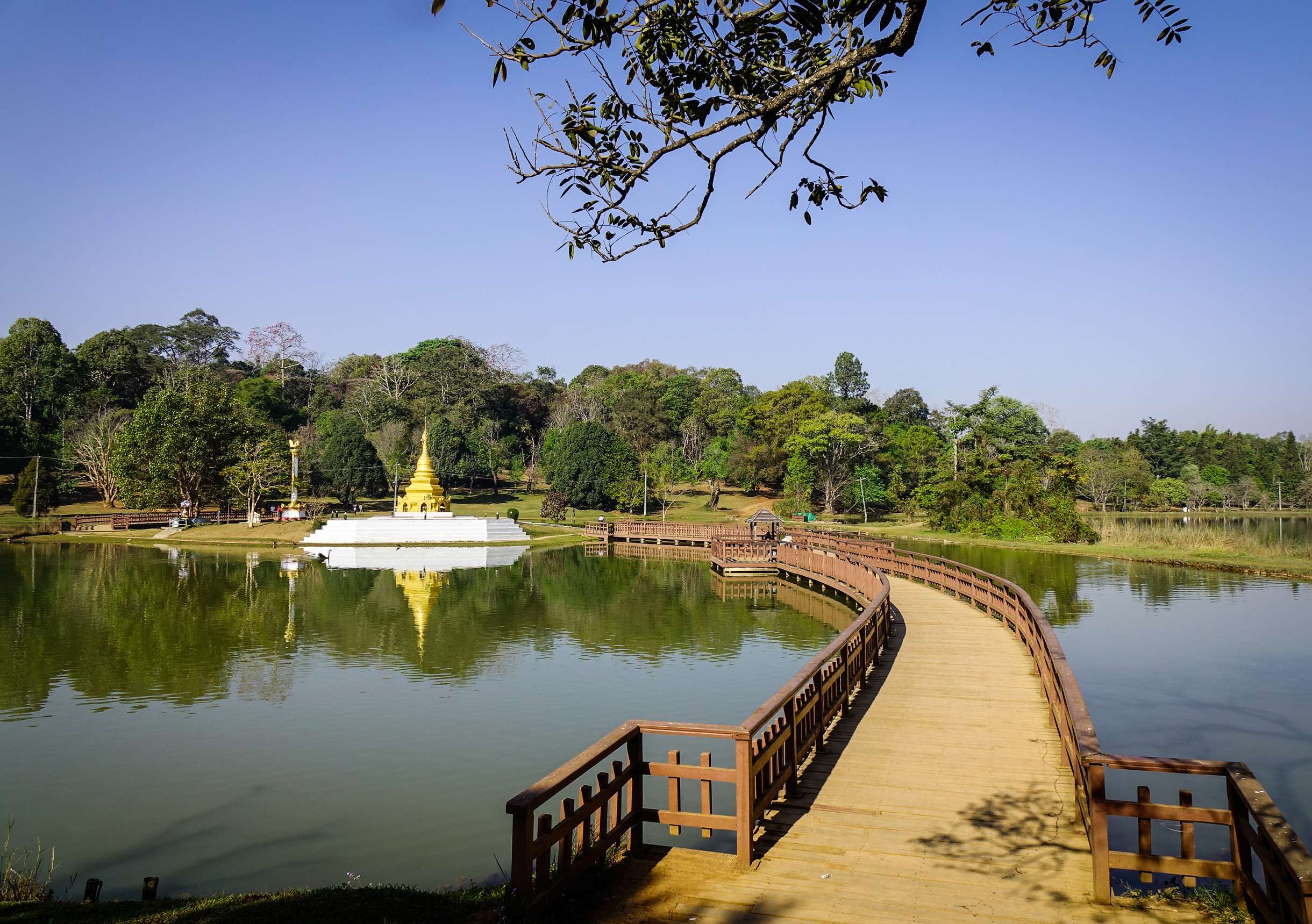 Wooden Bridge At Pyin Oo Lwin Park, Myanmar